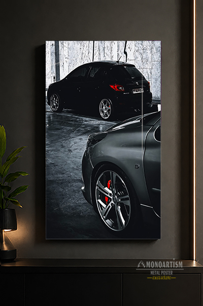 pegout-207-metal-poster